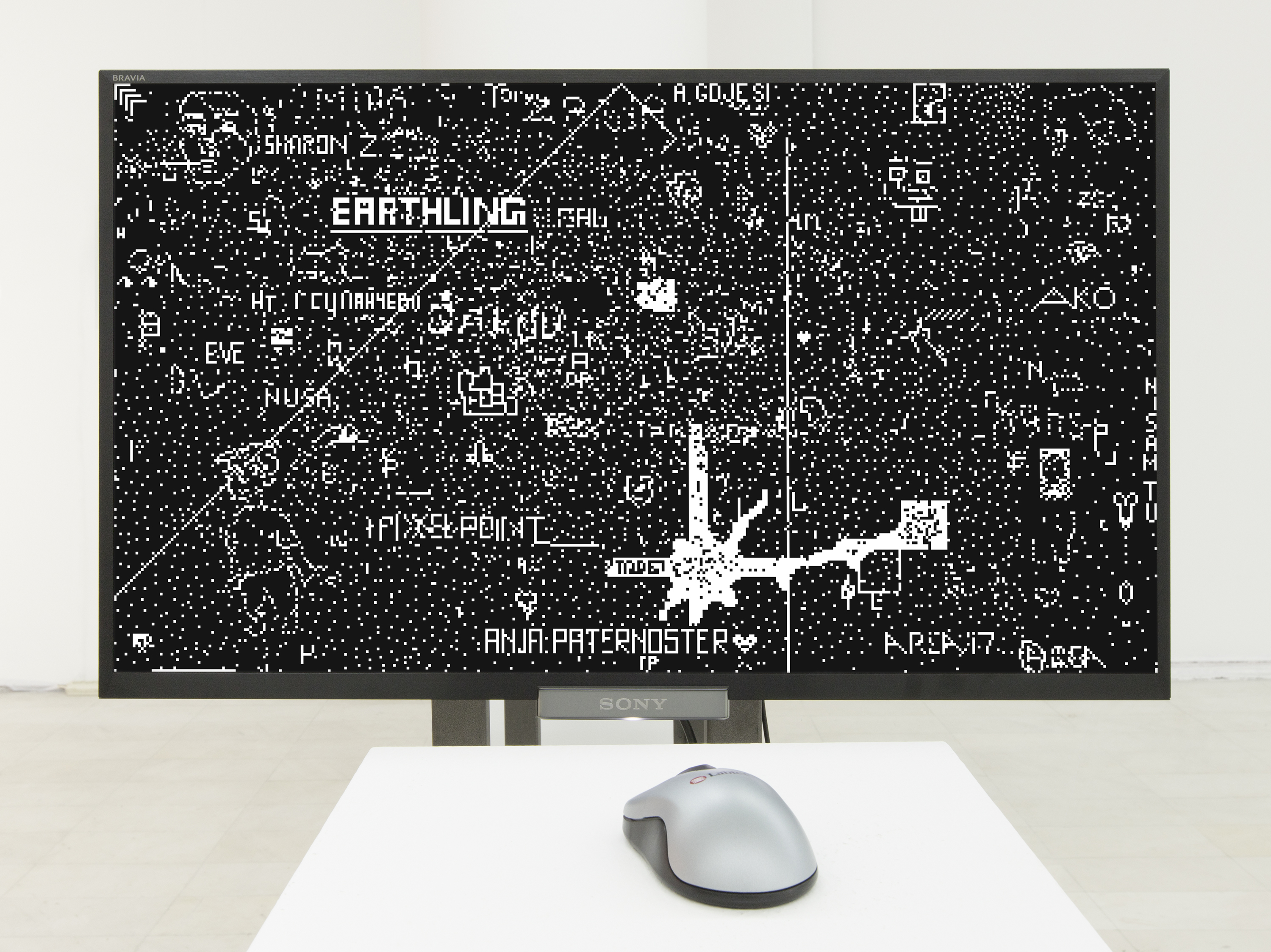 V Frelih www.area2017.com 2017 program design Zlatko Petrovic