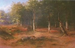 Slavonska suma